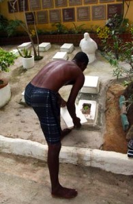 Vogelfriedhof_Paquetá_Rio de Janeiro©Jorge Vasconcello