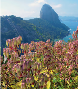 Aussicht von der Favela Babilônia Foto: Alexandre Macieira