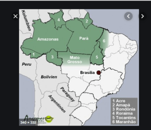 Amazonasstaaten@amazonasportal