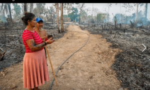 Feuer im Amazonas: Betroffen die Huni Kuin@ Centro_Huwã_Karu Yuxibu