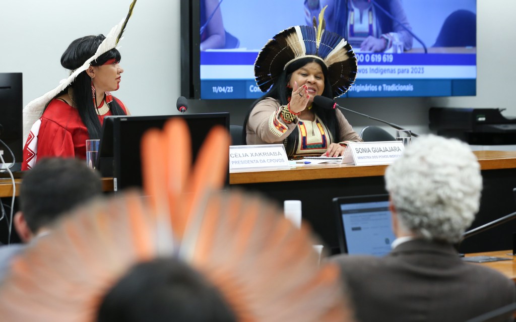 Ministra Sônia Guajajara na Comissão da Amazônia e dos Povos Originários@Lula Marques:Agência Brasil_